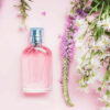 Amber & Lavender Jo Malone TYPE Fragrance Oil [[product_type]] 0