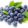 Blueberry Lip Balm Flavoring Unsweetened [[product_type]] 0