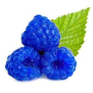 Blue Raspberry Jolly Rancher Type Fragrance Oil [[product_type]] 0
