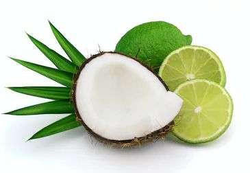 Coconut Lime Verbena BBW Type Fragrance Oil [[product_type]] 0