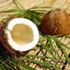 Coconut Natural Lip Balm Flavoring Unsweetened [[product_type]] 0