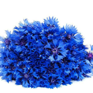 Cornflower Petals (Blue) [[product_type]] 0