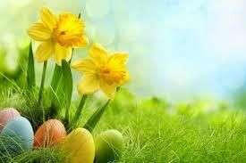 Easter Flowers Fragrance Oil [[product_type]] 0