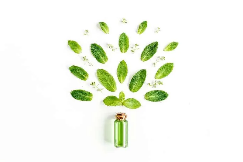 Eucalyptus and Spearmint BBW Type Fragrance Oil [[product_type]] 0