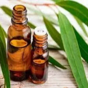 Eucalyptus Essential Oil in a glass bottle