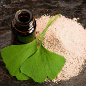 Ginkgo Biloba Powder with leaf