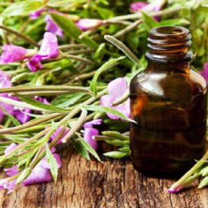 Herbal Essence TYPE Fragrance Oil [[product_type]] 0