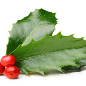 Holly Berry CS TYPE Fragrance Oil [[product_type]] 0
