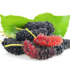 Mulberry Fragrance Oil [[product_type]] 0