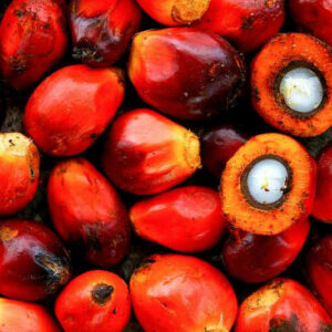 Palm Oil RBD (No-Stir, Homogenized) [[product_type]] 0