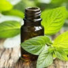 Peppermint Japanese Essential Oil in glass jar