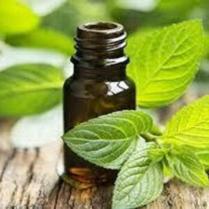 Peppermint Japanese Essential Oil in glass jar