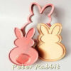 Peter Rabbit Easter Bunny Bath Bomb 3D Mold [[product_type]] 19.67