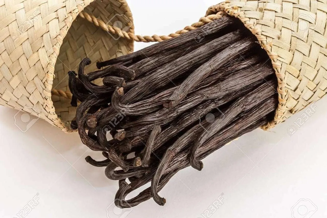 Vanilla Bourbon TYPE Fragrance Oil [[product_type]] 0