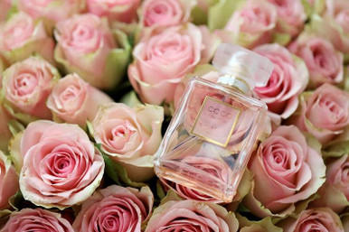 COCO MADEMOISELLE CHANEL TYPE FRAGRANCE OIL