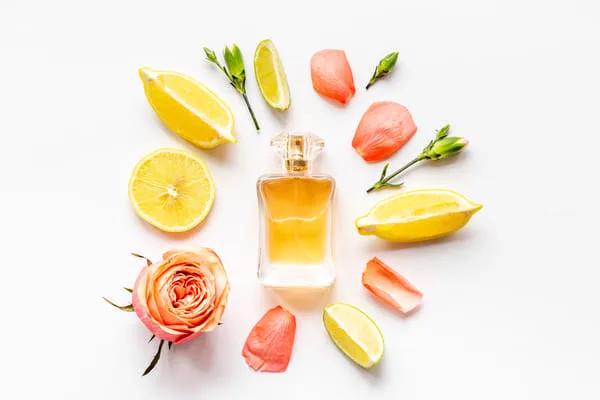 Mrs Claus Fragrance Oil