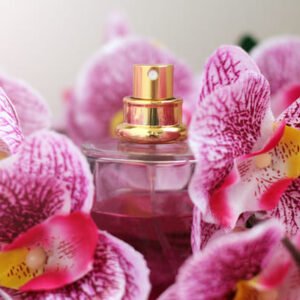 Orchid Soleil Tom Ford Type Fragrance Oil