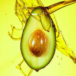 Avocado fruit and seed with oil