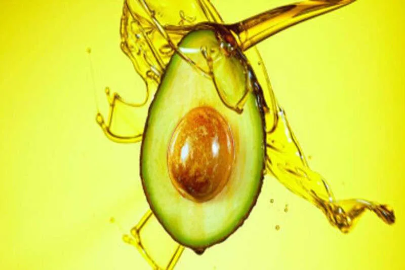 Avocado fruit and seed with oil