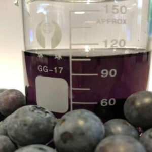 Blueberry Seed Oil in glass beaker