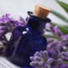 Essence Of Nightshade Fragrance Oil [[product_type]] 0