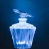 Rio Radiance Sol De Janeiro TYPE Fragrance Oil [[product_type]] 0