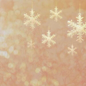 Snowflakes & Cashmere BBW TYPE Fragrance Oil [[product_type]] 0