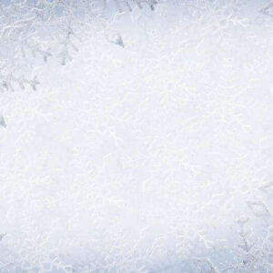 Snowy Coconut Frost BBW TYPE Fragrance Oil [[product_type]] 0