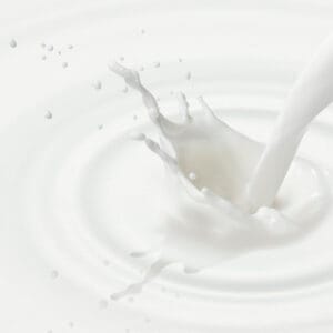 Super Milk LUSH Type Fragrance Oil