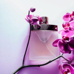 Violet + Orchid Fragrance Oil