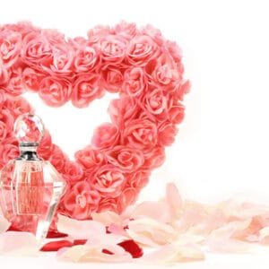 Holiday Gumdrop Native TYPE Fragrance Oil