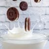 Cookie Milk Gourmand Fragrance Oil