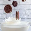 Cookie Milk Gourmand Fragrance Oil