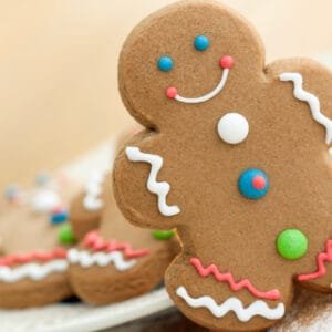 Gingerbread Cerchi Nell’Acqua TYPE Fragrance Oil